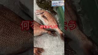 南紀白浜『とれとれ市場』がサイコー‼️ japan wakayama shirahama seafoodmarket とれとれ市場 和歌山 白浜 海鮮 さしみ 伊勢海老 [upl. by Washburn310]