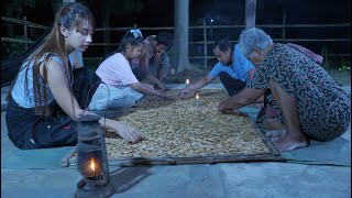 Natural areca catechu fruit prepare for my grandma  Polin Lifestyle [upl. by Cirilo111]