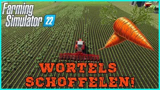 Wortels Schoffelen Zielonka Boederij EP 5 Farming Simulator 22 [upl. by Cohe]