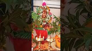 Bonalu songrenuka yellamma song  bonalu mangli manglisong [upl. by Merari370]