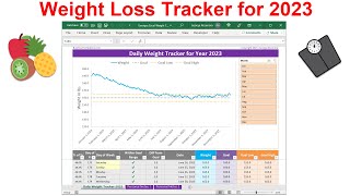 Daily Weight Tracker Spreadsheet for 2023  Track Your Weight Loss Journey in Simple Excel Charts [upl. by Laucsap]