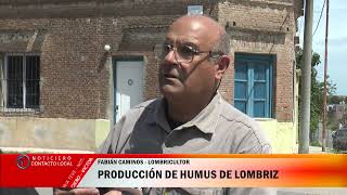 Producción de humus de lombriz [upl. by Letisha]