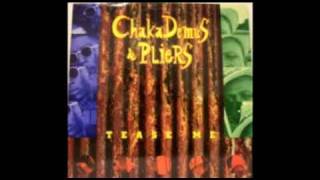 Chaka Demus amp Pliers  Tease Me w lyrics [upl. by Aramenta704]