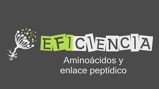 PROTEÍNAS AMINOÁCIDOS Y ENLACE PEPTÍDICO Isomería Anfótero Alifático Heterocíclico Aromático [upl. by Brottman]