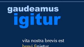 Gaudeamus Igitur Karaoke [upl. by Bergmans]