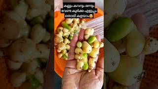 കൂർക്ക പെട്ടെന്ന് തൊലി കളയാം youtubeshorts easy cooking tips [upl. by Cadell]