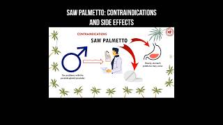 Saw palmetto contraindications and side effects sawpalmetto herbalmedicine herbs palmetto [upl. by Orodoet]