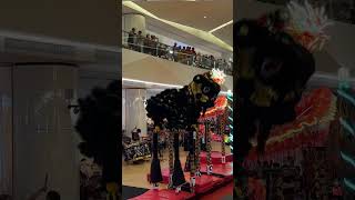 dismount  Xuan Long Dragon And Lion Dance Rawang Selangor [upl. by Lanos891]