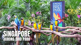 Jurong Bird Park Last Walking Tour Before Closure 4K HDR [upl. by Sydelle]