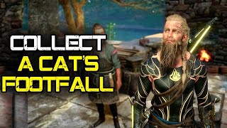 Collect A Cats FootfallA Felines Footfall Assassins Creed Valhalla [upl. by Nodyl407]