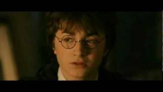 Harry Potter Funny Musical [upl. by Annyahs]