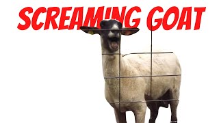 Goat Screaming Meme  Meme Template HD Download  TheMemician [upl. by Nattirb16]