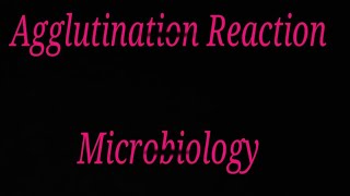 Indirect agglutination reaction in hindi [upl. by Binnie]