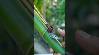 Bamboo creations withNew Bamboo Idea Bamboo Diy Bambooart Slingshots [upl. by Snehpets]