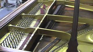 Grieg Piano Concerto Op 16 A Minor 1st Movement [upl. by Laehctim]