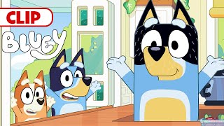 Bluey Season 3 Episode 5 quotBorn Yesterdayquot Episode Clip  disneyjr  BlueyOfficialChannel [upl. by Mushro]