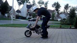 Pocket bike cagllari video [upl. by Williamsen]