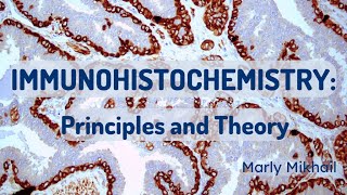 Immunohistochemistry Principles and Theory [upl. by Ellivnarg]