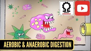 Aerobic Digestion and Anaerobic Digestion [upl. by Maddalena]