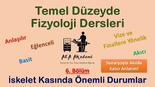 Temel Fizyoloji Dersleri Kas Fizyolojisi  Optimal Uzunluk Tetani Yorgunluk Kasılma Tipleri [upl. by Resarf904]