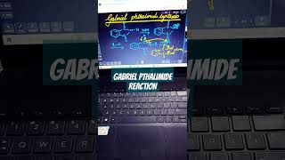 GABRIEL PHTHALIMIDE SYNTHESISnamereactions gabrielphthalimidesynthesis organicchemistry science [upl. by Mackintosh331]