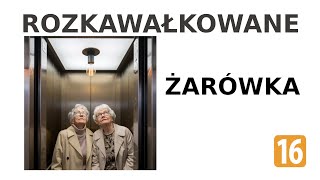 Kawał  Żarówka  Rozkawałkowane [upl. by Ahsirhcal]