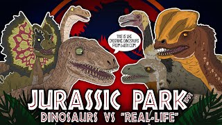 Jurassic Park Evolution Movie Dinosaurs Compared To Real Life 1993  ANIMATED [upl. by Neruat446]