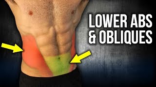 4min Home LOWER ABS and OBLIQUES Workouts NO EQUIPMENT [upl. by Townie]