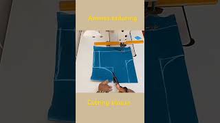 Cutting blouse for beginners  how to cut blouse song blouse cutting [upl. by Madlin]