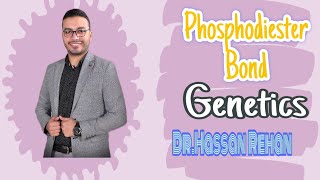 PhosphodiesterbondMolecularBiology [upl. by Novled]