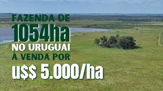 Fazenda de 1054ha para pecuária e agricultura  na região de melhor custo benefício do Uruguai [upl. by Leifer153]