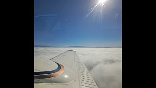 SoCal trip and Pilots N Paws Freedom Flight 134 [upl. by Llevart891]