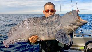 Deep Sea Fishing in the Arctic Circle  Huge Cod Coalfish Wolffish and Halibut  The Fish Locker [upl. by Terrance]