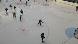 PLAYING HOCKEY AT SKATING AREA INSIDE WEST EDMONTON MALL  Lourdes Wasin [upl. by Elysee]