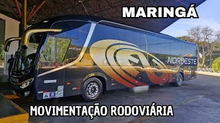 SÓ OS BONITOS  MOVIMENTO DE ÔNIBUS NA RODOVIÁRIA DE MARINGÁ  PR [upl. by Lucila]