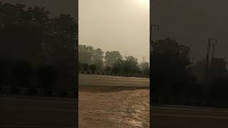 Vrindavan views and roads vlogger bird [upl. by Ydnyc]