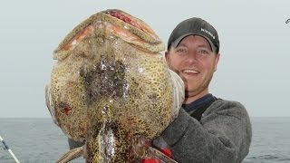 LINGCOD FISHING  The PROOF our tips work  Catch Giant Cod [upl. by Shermy]