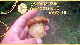 1800km sur compostelle jour 18 Orthez Saint Palais 36km voiedevezelay [upl. by Femi341]