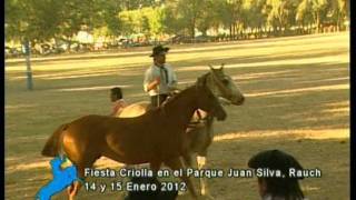 Jineteadas y Broche de Oro en la fiesta criolla de Rauch Enero 2012 [upl. by Radnaxela]