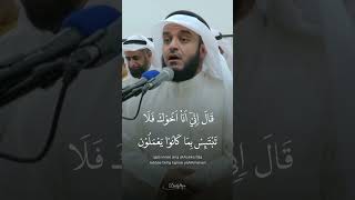 Beautiful Quran Recitation [upl. by Atiuqnahs]