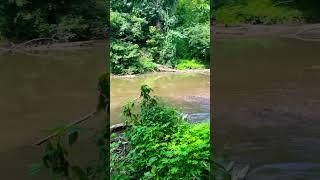 Pequea creek Lancaster PA [upl. by Nicol413]