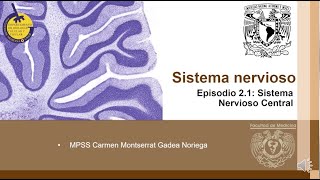 T2C11E1 Sistema Nervioso Central [upl. by Longwood213]