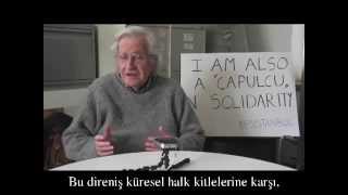 Noam Chomskys call to the World about the Taksim Gezi Park Resistance [upl. by Peck]