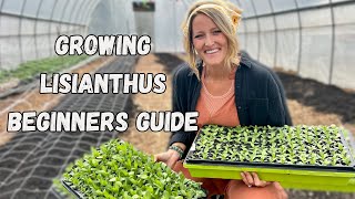 Growing Lisianthus  A Beginners Guide  Whispering Willow Farm [upl. by Deonne]