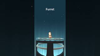 Evolve Sentret To Furret pokemon pokemongo [upl. by Yerffe453]