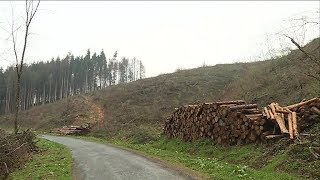 MontignysurChiers 54  la commune au secours de la forêt [upl. by Chemush]