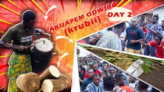 Akuapem Odwira Festival 2024 Day 2  Outdooring the New Yam krubii [upl. by Rosemaria388]