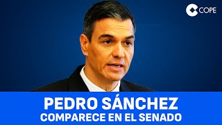 Pedro Sánchez responde sobre el caso Koldo en el Senado [upl. by Aitra]