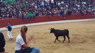 Recortadores en la vaquilla de las Fiestas de Hoyo de Manzanares 2017 [upl. by Pamelina]