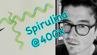 SPIRULINA unboxing microscope viewing and start growing algae [upl. by Einnaoj]